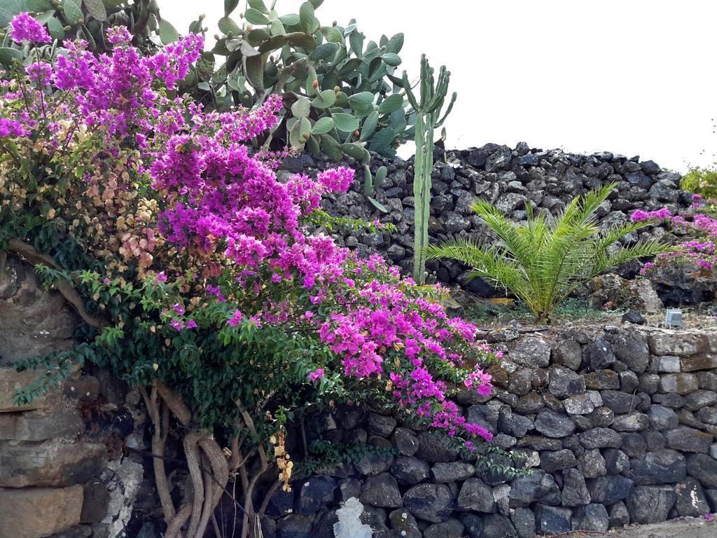 Rural Relax Pantelleria *